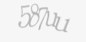 Защитный код
